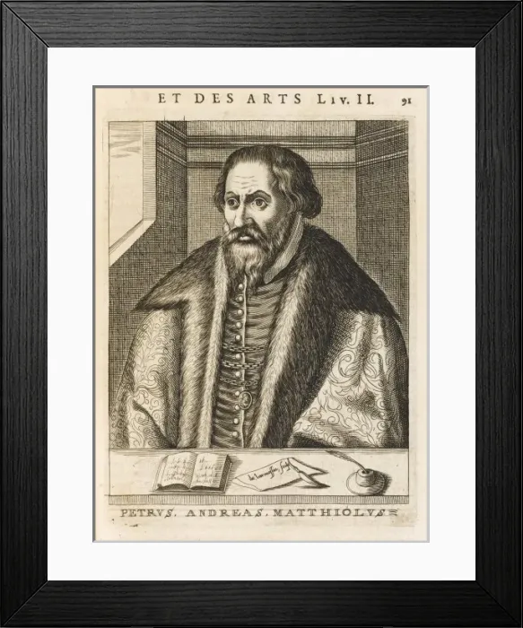 Framed Print : Mattioli / Petrus / Larmessi Framed Print : Mattioli / Petrus / Larmessi