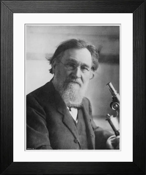 Framed Print : Metchnikoff / Nos Maitres Framed Print : Metchnikoff / Nos Maitres