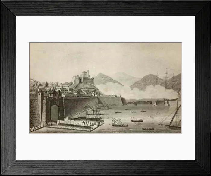Framed Print : Napoleon Arrives at Elba Framed Print : Napoleon Arrives at Elba