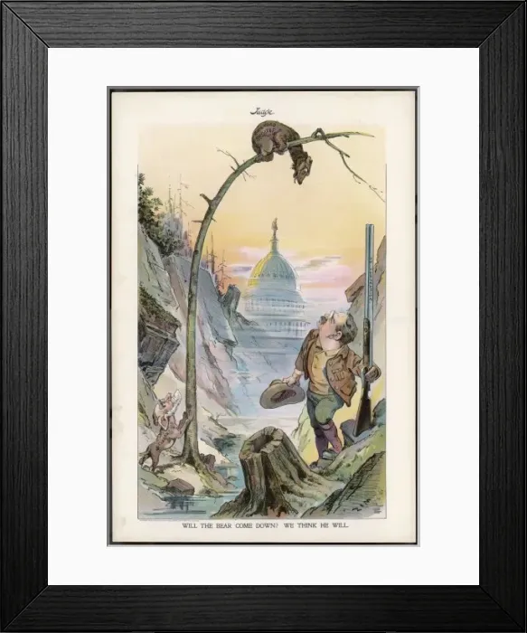 Framed Print : T Roosevelt / Judge Bear Framed Print : T Roosevelt / Judge Bear