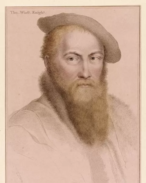 Thomas Wyatt  /  Holbein