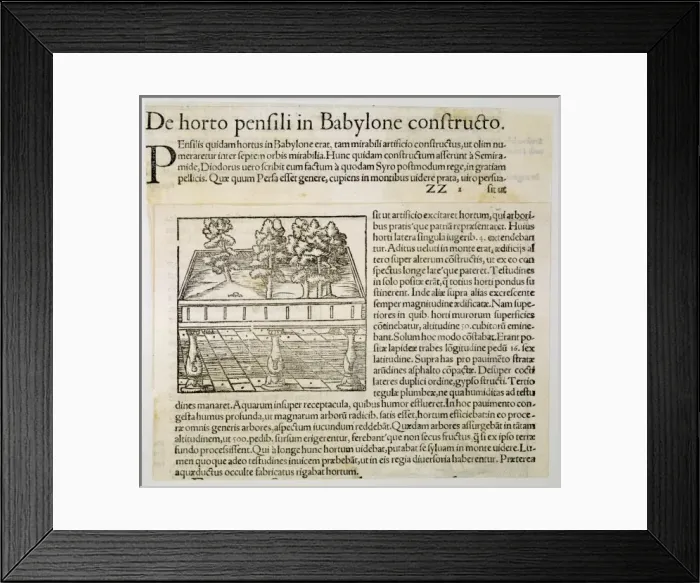 Framed Print : Hanging Gardens / Munster Framed Print : Hanging Gardens / Munster