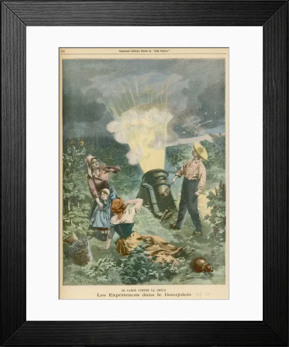 Framed Print : Saving Vines Beaujolais Framed Print : Saving Vines Beaujolais