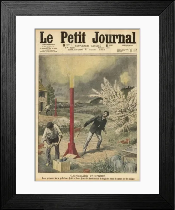 Framed Print : Flowers and Hail Framed Print : Flowers and Hail