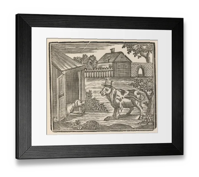 Framed Print : Dog Barks at Cow Framed Print : Dog Barks at Cow
