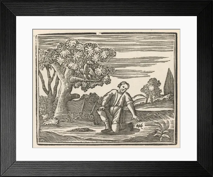 Framed Print : Man and Beetle Framed Print : Man and Beetle