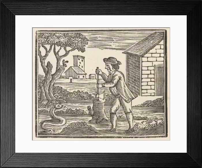 Framed Print : Man and Snake Framed Print : Man and Snake