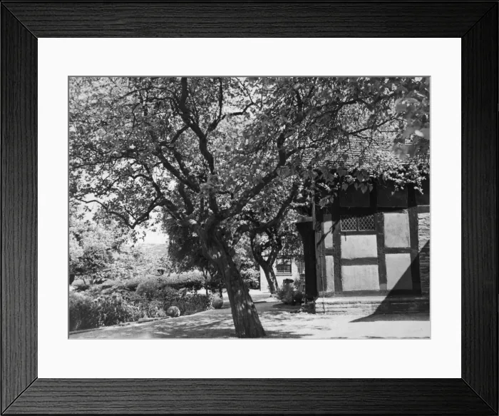 Framed Print : Shakespeare / Birthplace Framed Print : Shakespeare / Birthplace