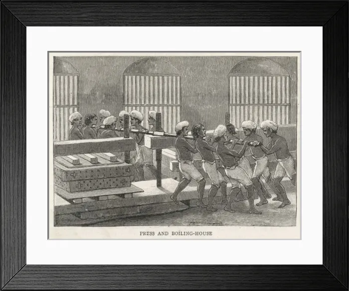 Framed Print : Indigo Factory / India Framed Print : Indigo Factory / India