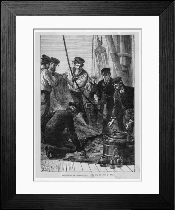Framed Print : Challenger / Specimens Framed Print : Challenger / Specimens