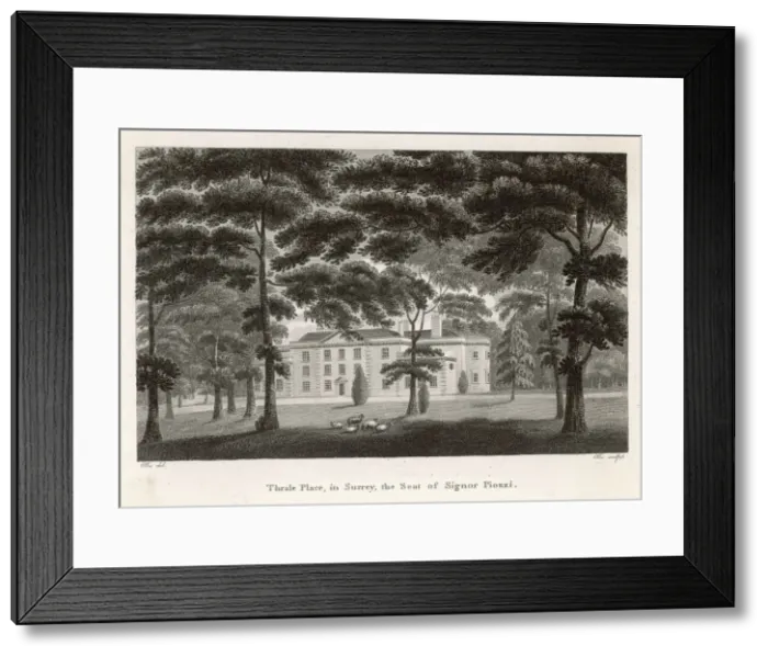 Framed Print : Hester Thrale / Home Framed Print : Hester Thrale / Home