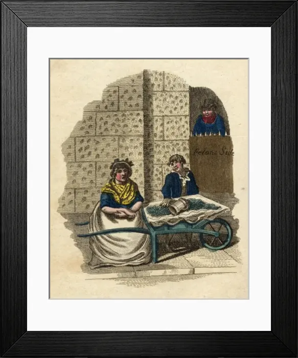Framed Print : Gooseberries  /  Cries