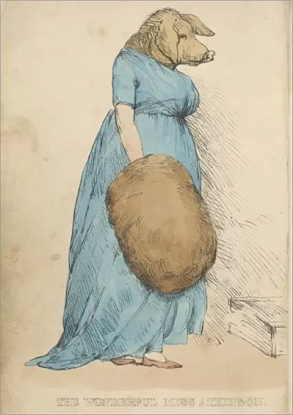 Pig-Faced Lady 1815