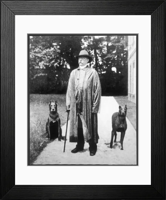 Framed Print : Bismarck Friedrichsruh Framed Print : Bismarck Friedrichsruh