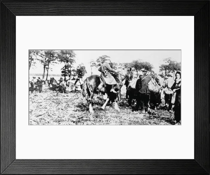 Framed Print : Scavengers / 1919 Framed Print : Scavengers / 1919