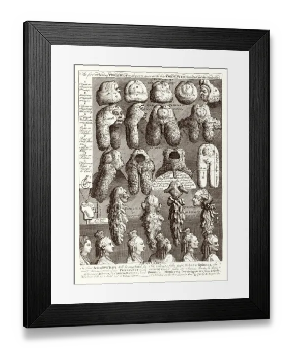 Framed Print : 5 Orders of Periwigs Framed Print : 5 Orders of Periwigs