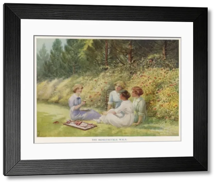Framed Print : Cambridge Univ Girton Co Framed Print : Cambridge Univ Girton Co
