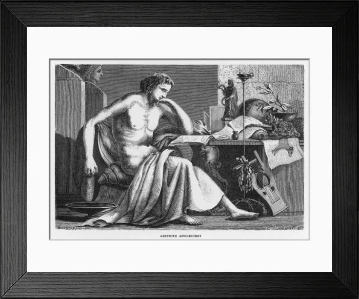 Framed Print : Aristotle / Laplante Framed Print : Aristotle / Laplante