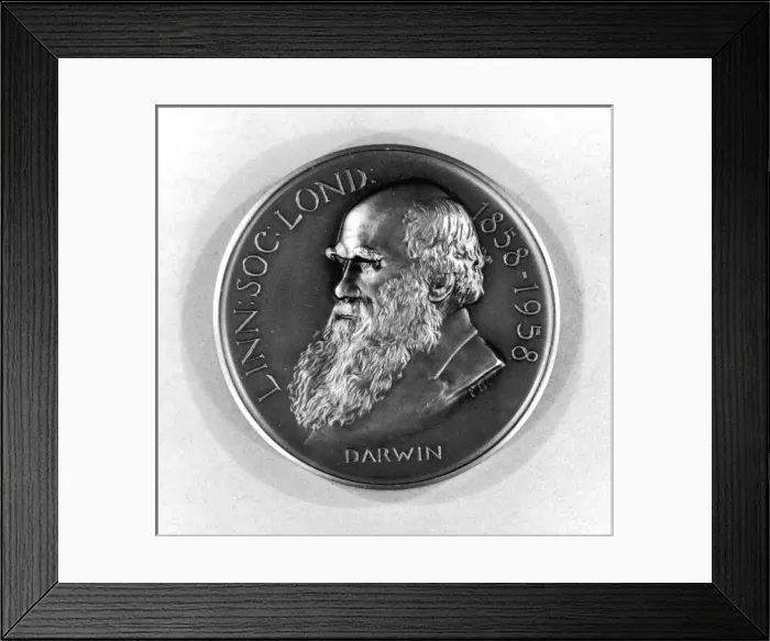 Framed Print : Darwin / Medallion / Medal Framed Print : Darwin / Medallion / Medal