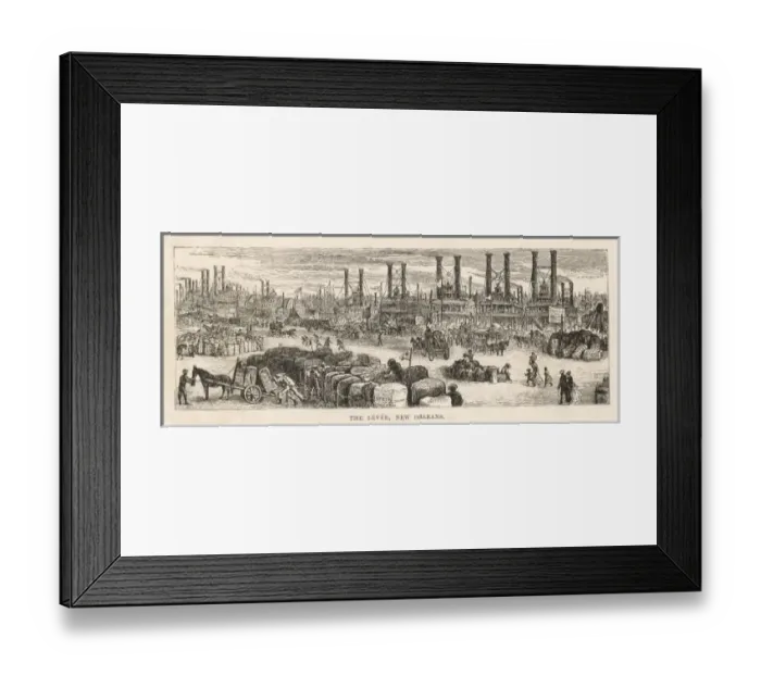 Framed Print : USA / New Orleans / Levee Framed Print : USA / New Orleans / Levee