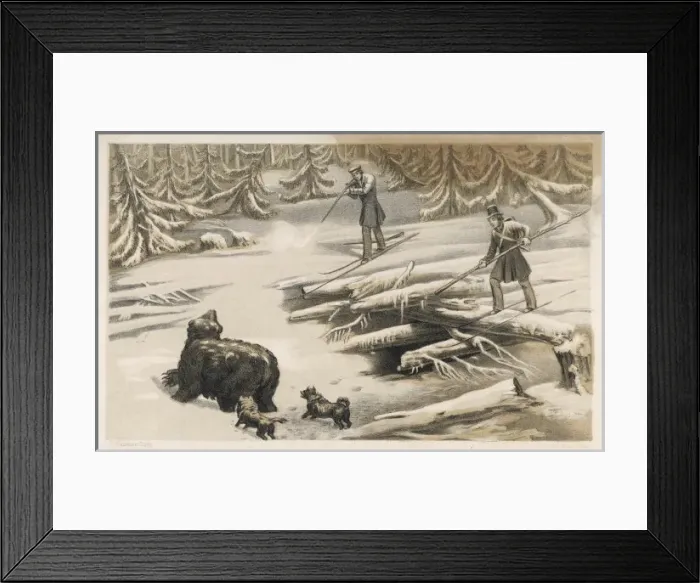 Framed Print : Hunting / Bear, Sweden Framed Print : Hunting / Bear, Sweden