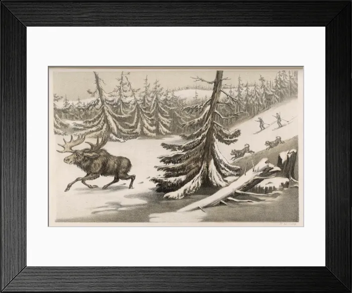 Framed Print : Moose / Elk Sweden 1855 Framed Print : Moose / Elk Sweden 1855