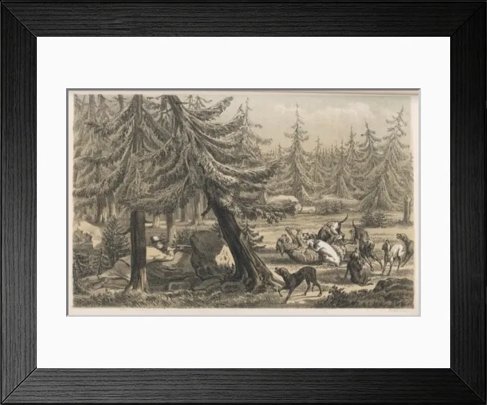 Framed Print : Lynx and Dogs Framed Print : Lynx and Dogs