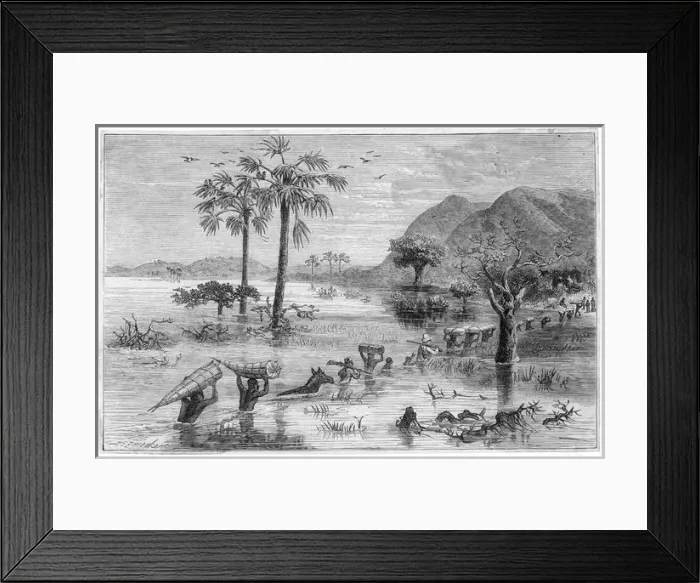 Framed Print : Stanley Searches Lake Framed Print : Stanley Searches Lake