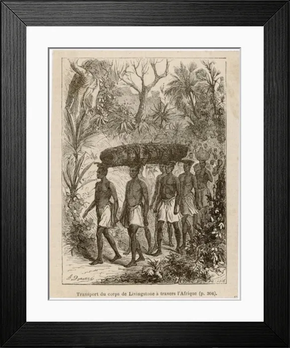 Framed Print : Livingstone Carried Framed Print : Livingstone Carried