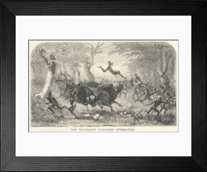 Framed Print : Livingstone & Buffalo Framed Print : Livingstone & Buffalo