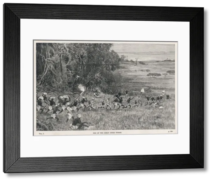 Framed Print : Stanley Leaves Congo Framed Print : Stanley Leaves Congo