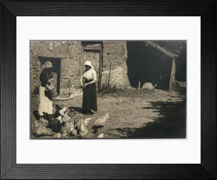 Framed Print : Feeding Poultry Framed Print : Feeding Poultry