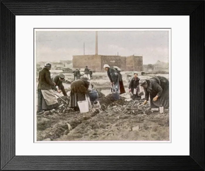 Framed Print : Coal Shortage / Germany Framed Print : Coal Shortage / Germany