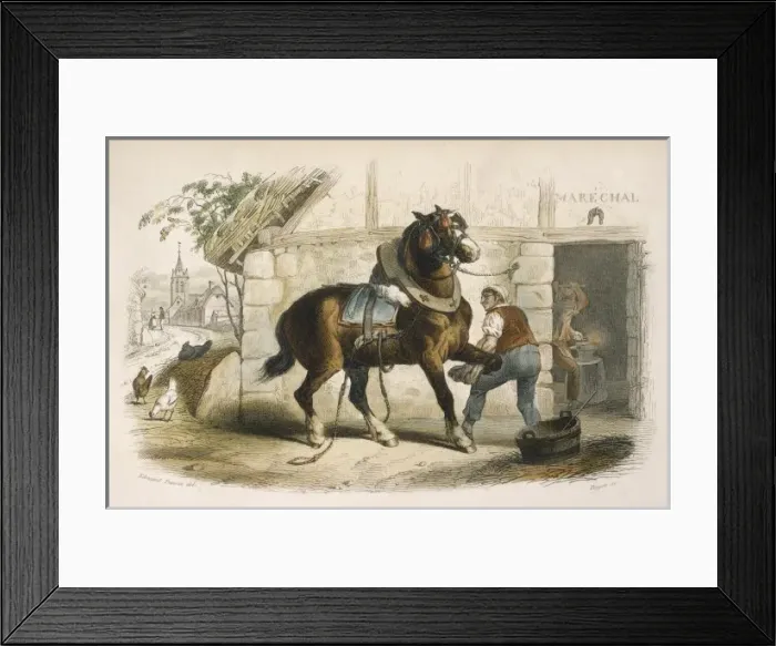 Framed Print : Shoeing a Horse Framed Print : Shoeing a Horse