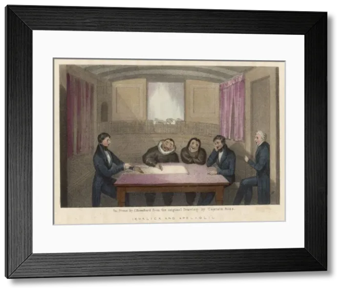 Framed Print : Ross / Ikmalick / Apelagliu Framed Print : Ross / Ikmalick / Apelagliu