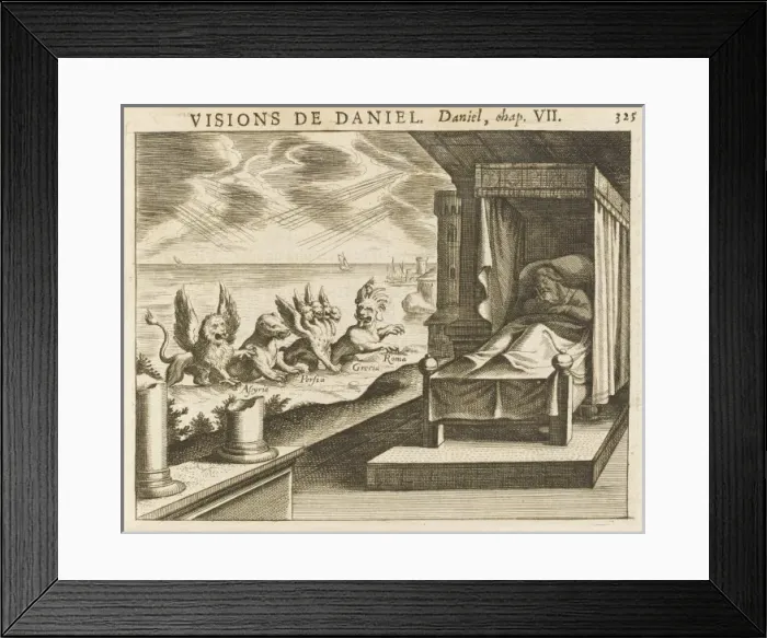 Framed Print : Daniels Vision Framed Print : Daniels Vision