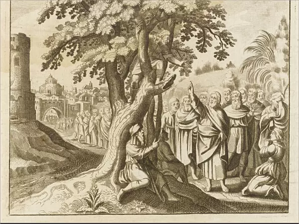 Zacchaeus Converted