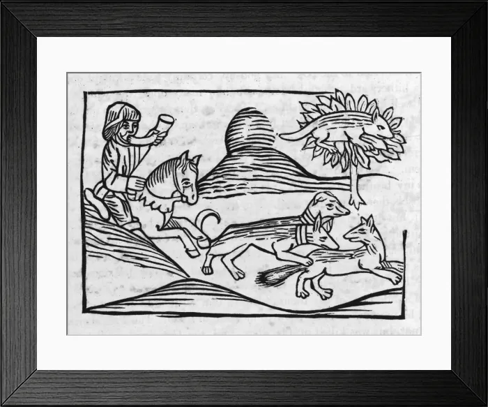 Framed Print : Aesop / Fox and Cat Framed Print : Aesop / Fox and Cat
