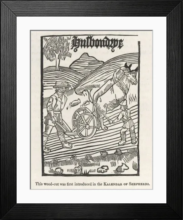 Framed Print : Ploughing, 16th Century Framed Print : Ploughing, 16th Century