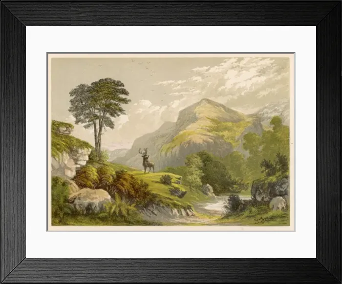 Framed Print : Highland Moors with Stag Framed Print : Highland Moors with Stag