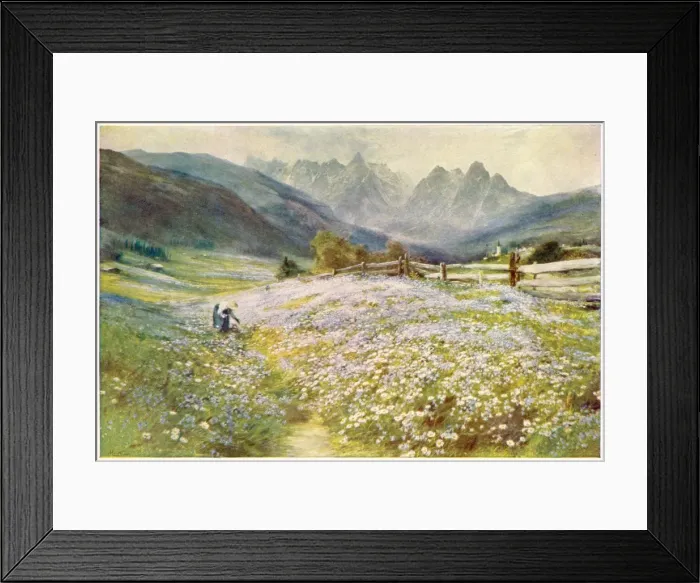 Framed Print : Tyrol Flower Picker Framed Print : Tyrol Flower Picker