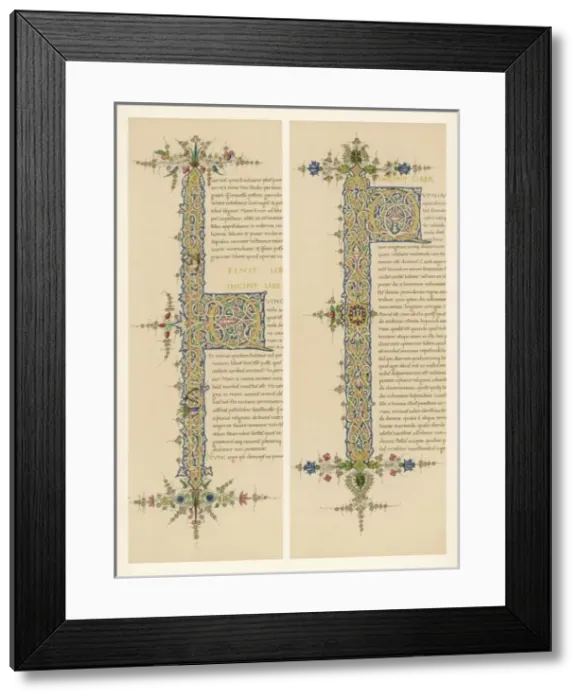 Framed Print : Ms - Two Letters Framed Print : Ms - Two Letters
