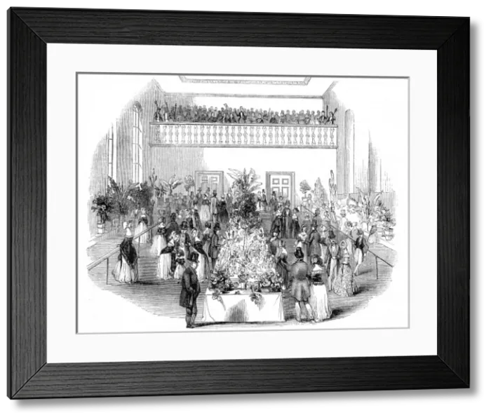 Framed Print : Summer flower show, Newcastle Horticultural Society Framed Print : Summer flower show, Newcastle Horticultural Society