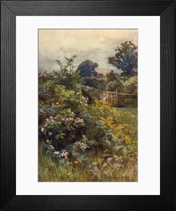 Framed Print : Summer Hedgerow Framed Print : Summer Hedgerow