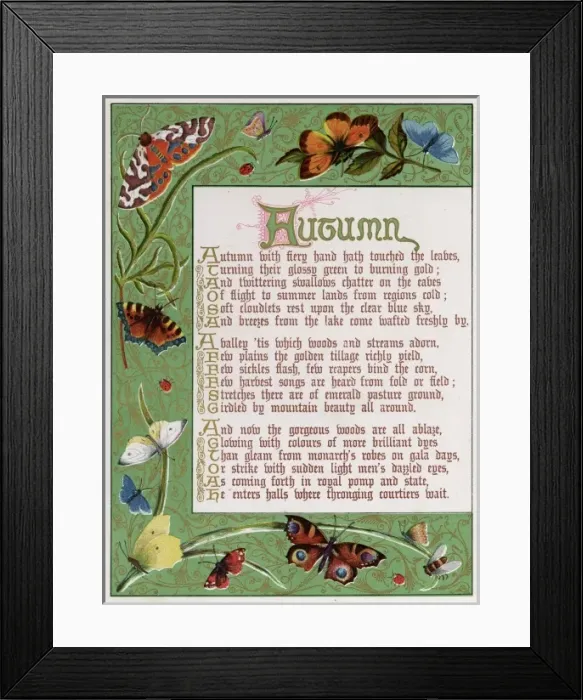 Framed Print : Border Showing Autumn Framed Print : Border Showing Autumn