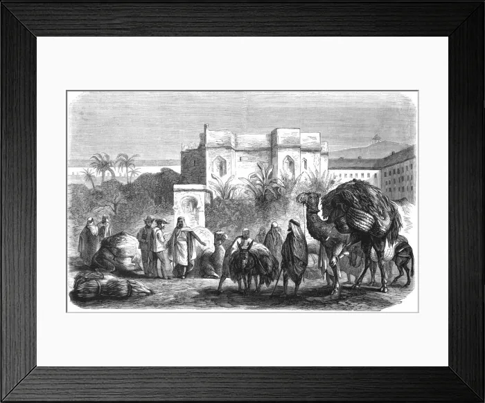 Framed Print : Tobacco industry in Algiers Framed Print : Tobacco industry in Algiers