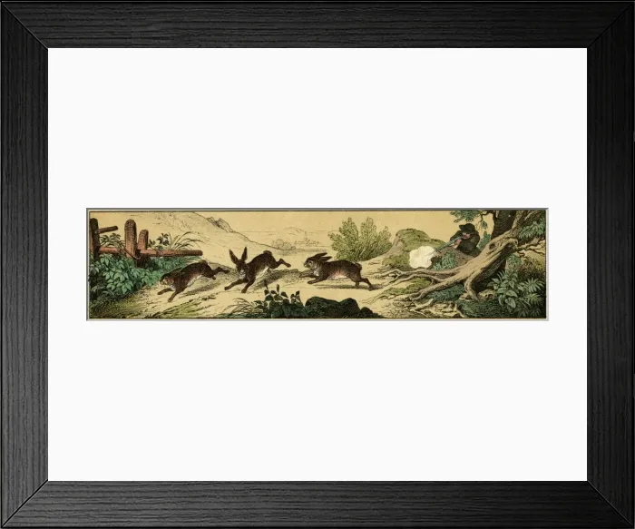 Framed Print : Rabbit hunting Framed Print : Rabbit hunting