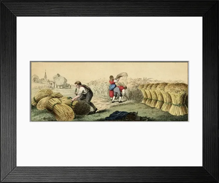 Framed Print : Hay Harvest Framed Print : Hay Harvest