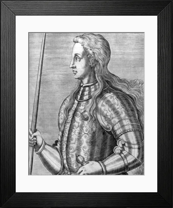 Framed Print : Joan of Arc Framed Print : Joan of Arc
