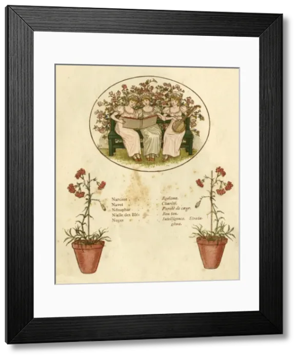 Framed Print : Decorative Floral Framed Print : Decorative Floral
